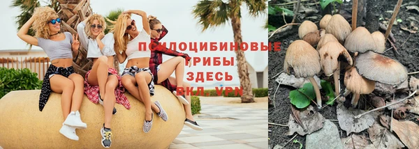 MESCALINE Вяземский