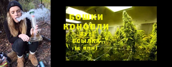 MESCALINE Вяземский