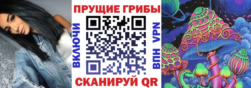 Псилоцибиновые грибы прущие грибы  hydra маркетплейс  Зеленокумск 